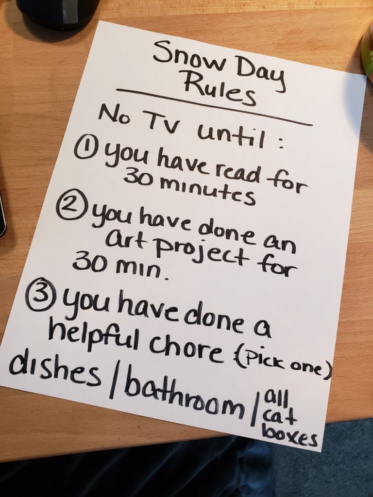 Snow Day Rules image